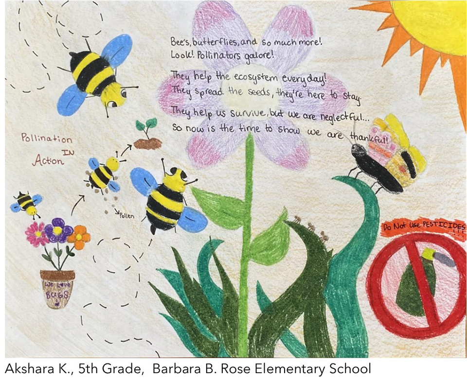 2022 CCEW Illustrate Poem Winner - chemists celebrate earth week