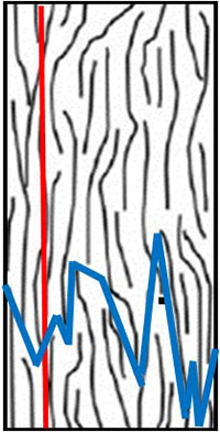 diagram of cellulose fibers in newsprint paper