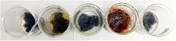 photo of five beakers, each with steel wool and different liquids inside. Left-to-right: #1 has plain water and little discoloration is observed, indicating little rust. #2 has water and salt, and is the second-most discolored solution of the five, indicating significant rust. #3 has only 3% hydrogen peroxide, and exhibits no discoloration. #4 has hydrogen peroxide AND salt, and exhibits the most rust of all the beakers, showing the steel wool has turned deep red and the solution is also deep red. #5 has hydrogen peroxide and backing soda, and is not significantly dicolored.