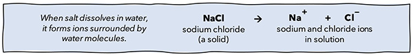 Illustration of solid sodium chloride dissociating into positive Na+ and negative Cl- ions in water