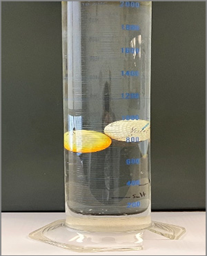 Photo of two gold balls suspended in the middle (not the bottop or top) of a salt solution in a graduated cylinder