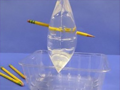 Photo of this experiment: a pencil poking through both sides of a plastic bag filled with water, and somehow it is not leaking!