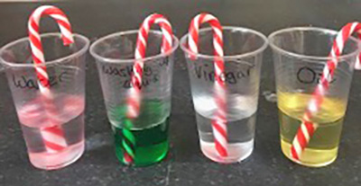 photo of four candy canes in separate cups, each containing a different liquid, illiustrating different solubility of candy cane colors
