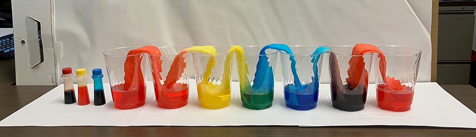 Photo of the Walking Rainbow demonstration, in which paper towels are draped between pairs of clear plastic cups arranged in a line, and food coloring solution is in the cups. Colored water gets wicked up from each cup by the paper towels, resulting in series of arcs arranged in the colors of the rainbow
