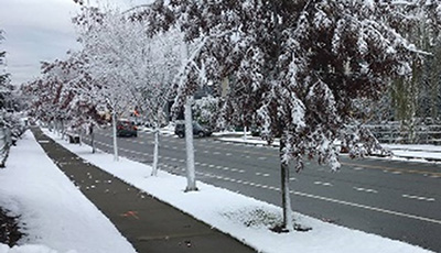 Snow scene